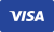 Visa Credit card