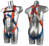 FP12 - Portwest 2 Point Harness