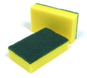 Sponge Scourer