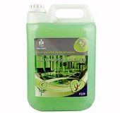 F229 - Eco Friendly Mulitpurpose Cleaner
