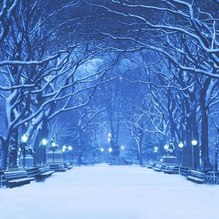 central-park-winter-scenes-1545235223.jpg (1)