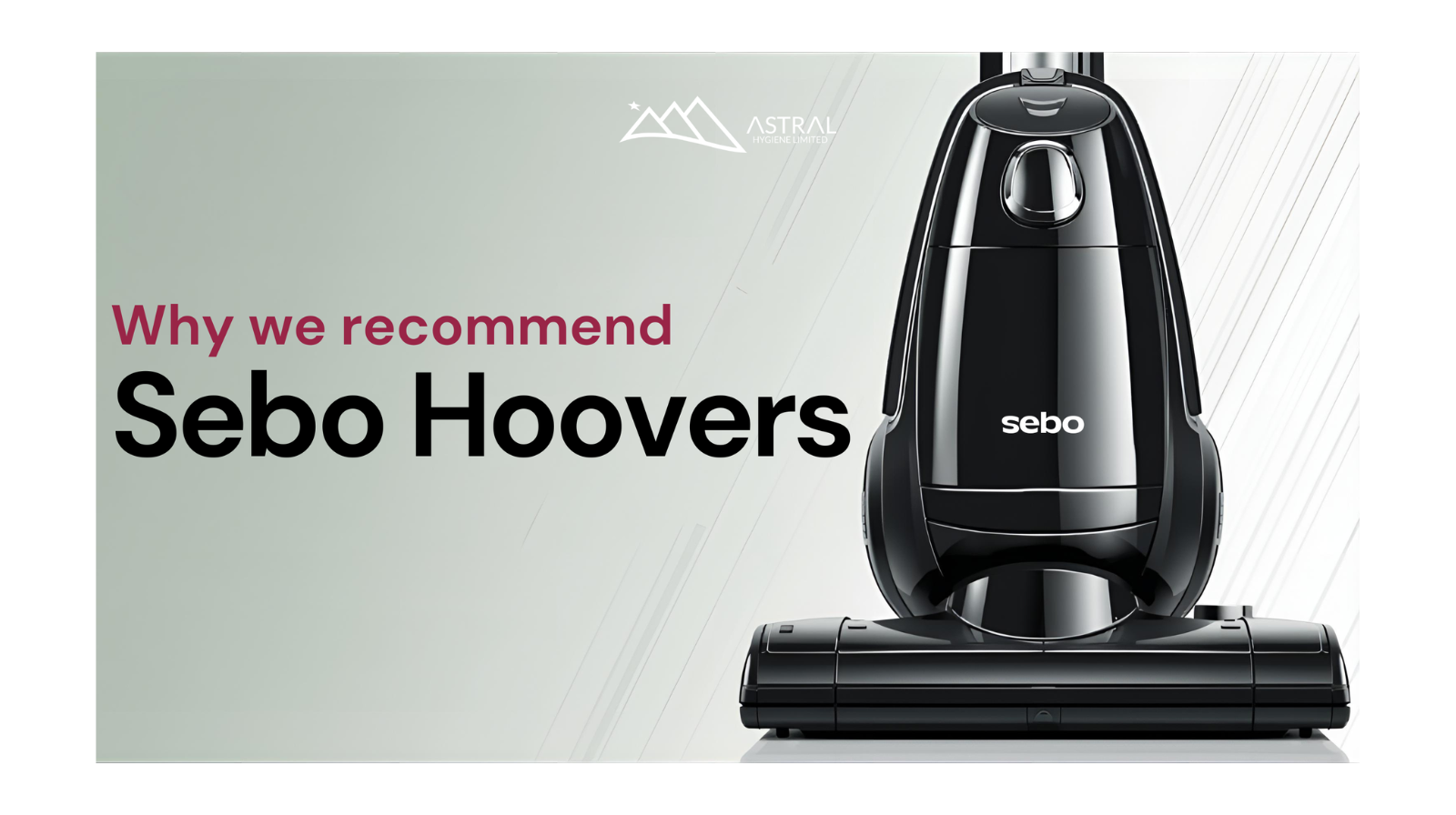 Professional Sebo vacuum cleaner in use, highlighting durable design, strong suction, and efficient cleaning for home and workplace environments.